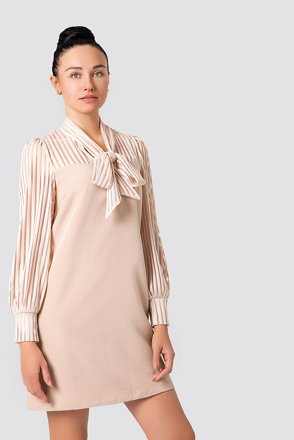 Beige Organza Sleeve Dress