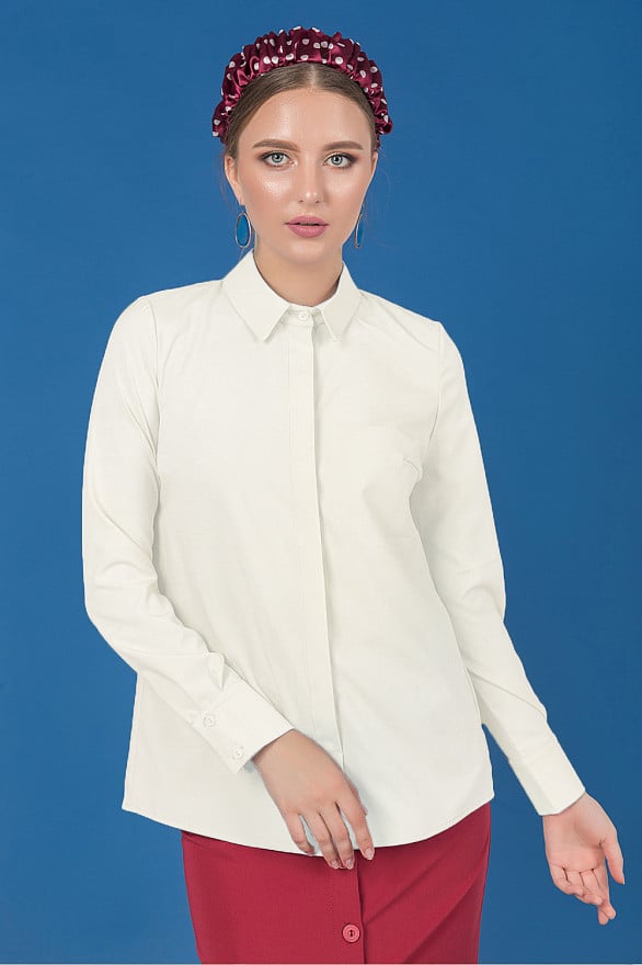 Blouse with hidden placket