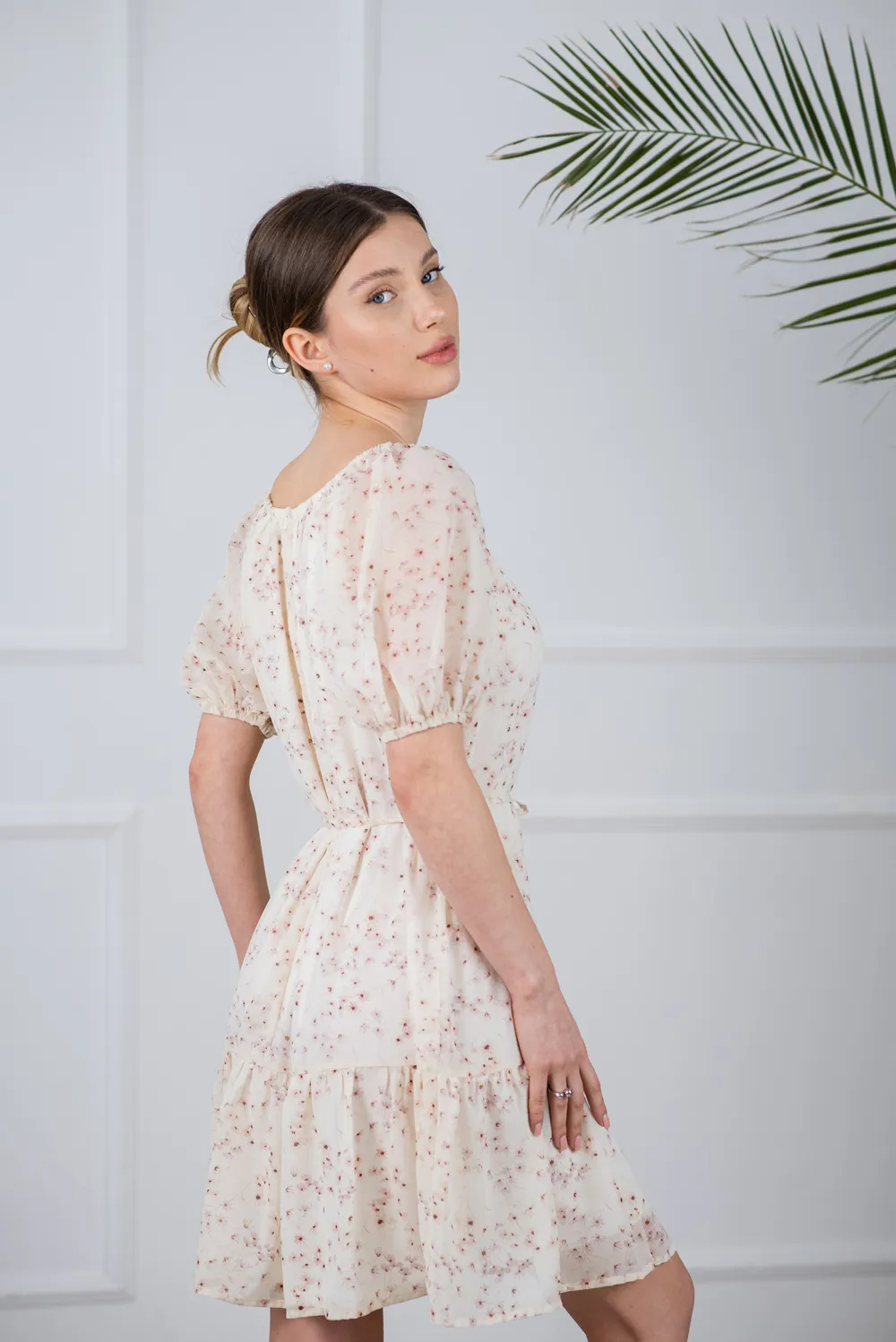 Delicate chiffon dress shade 